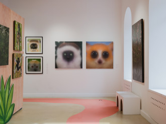 «В поисках короля Джулиана»: персональная выставка Якова Хомича о Мадагаскаре в галерее ART&BRUT