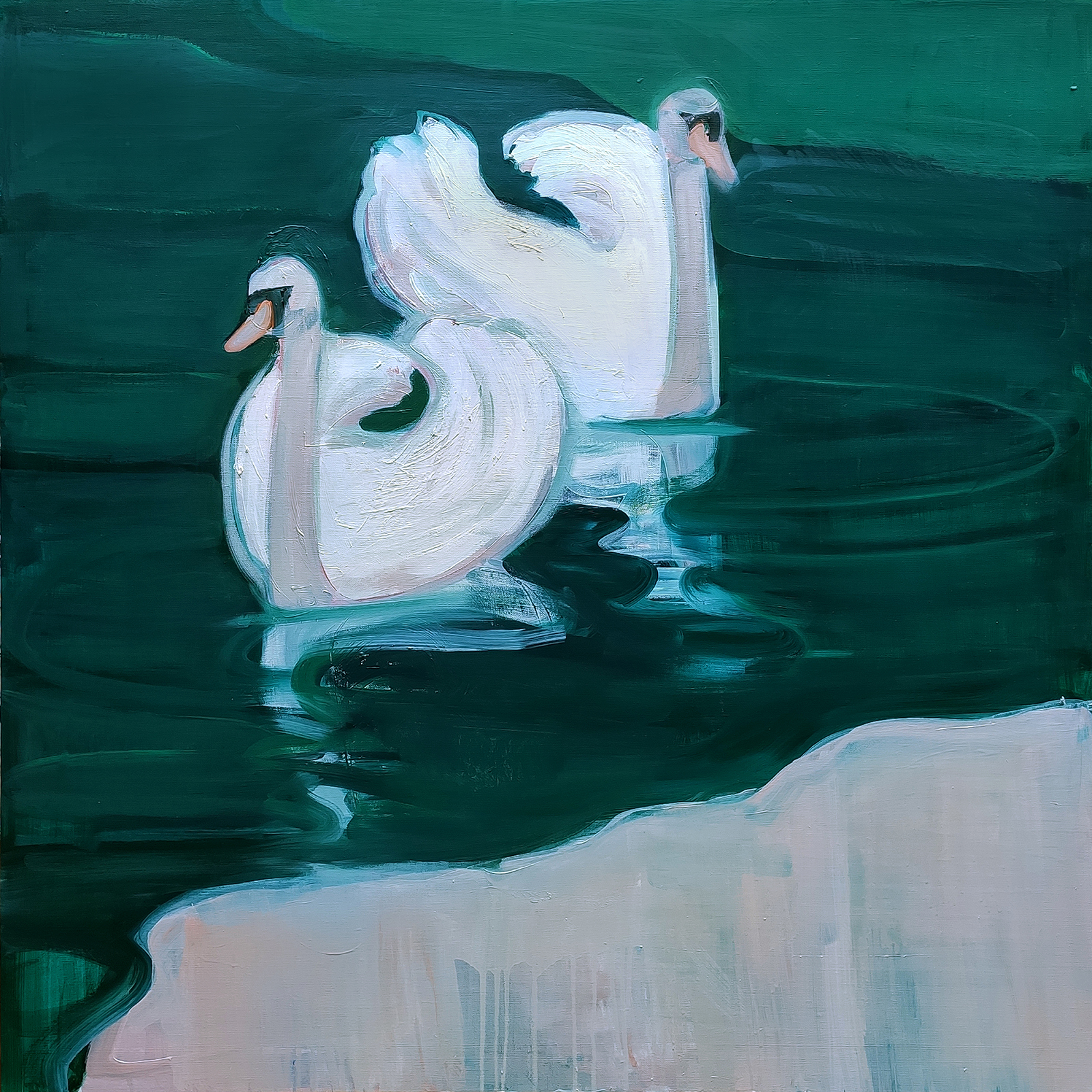 Swans