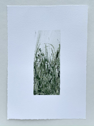 Работа Без названия