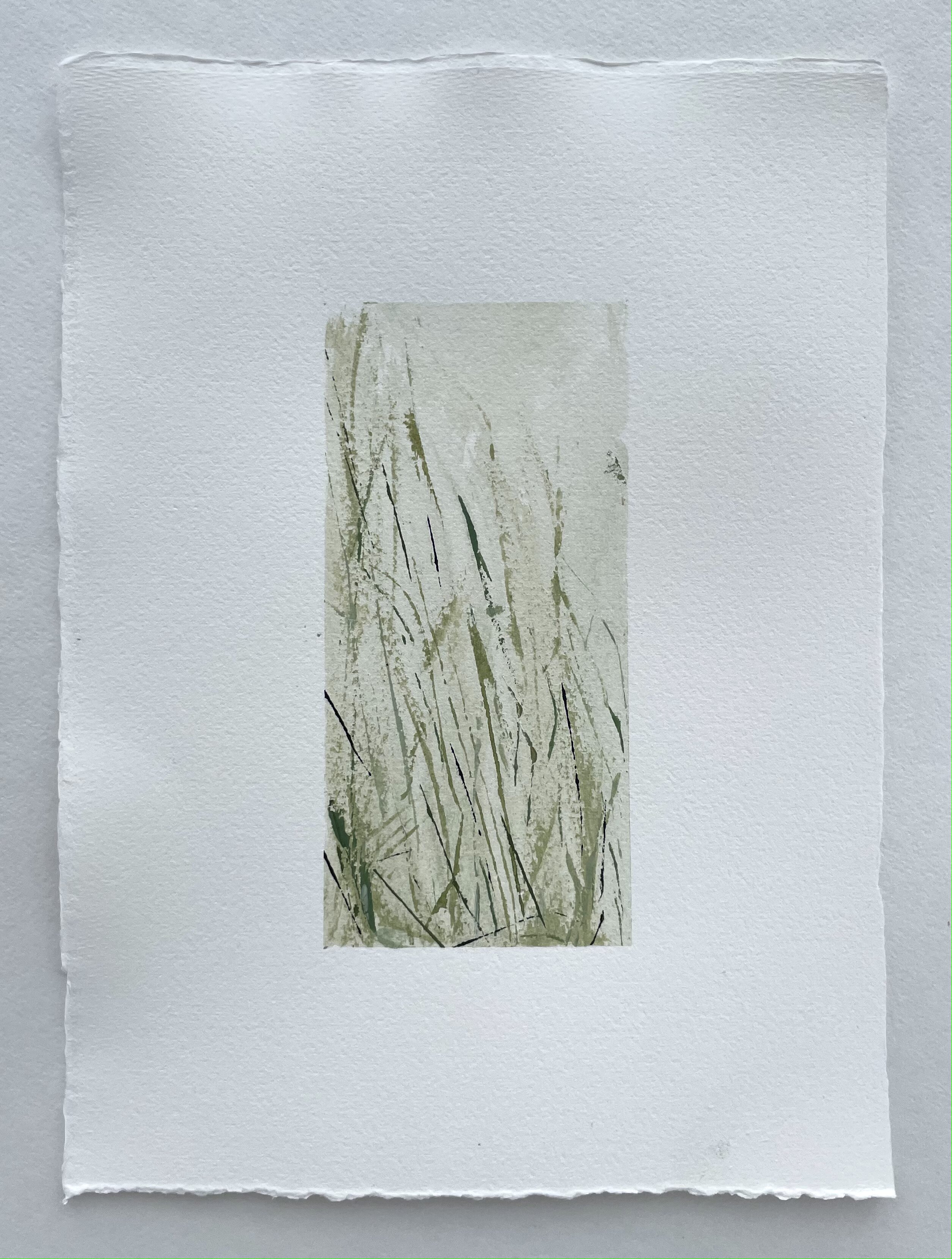 Север области IV