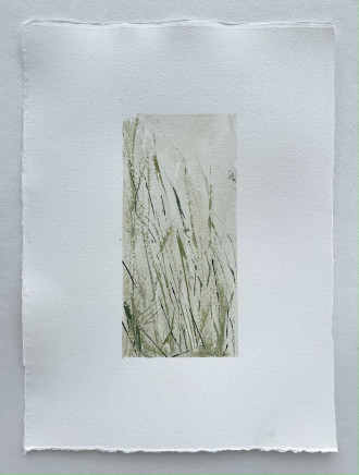 Работа Север области IV