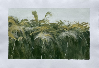 Работа Tropics I